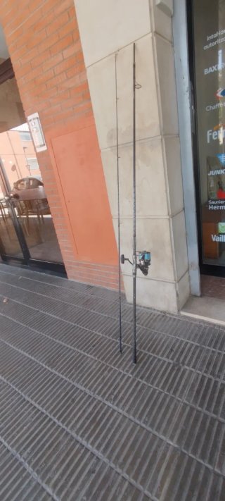 Caña de pesca carpa