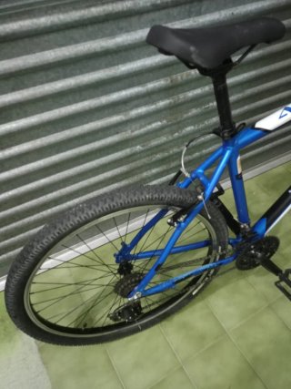 Bicicleta Indur talla L