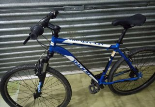 Bicicleta Indur talla L