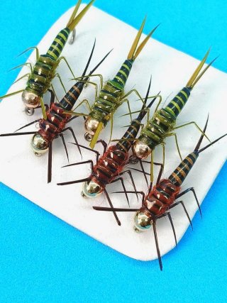 6 Ninfas StoneFly Pesca Mosca