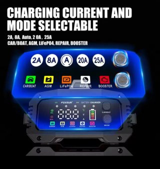 Cargador Batería Coche 12V/24V
