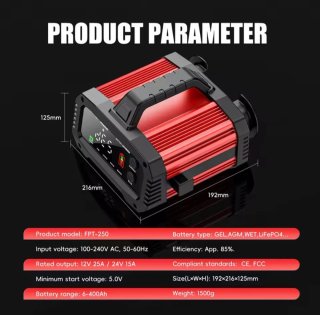 Cargador Batería Coche 12V/24V