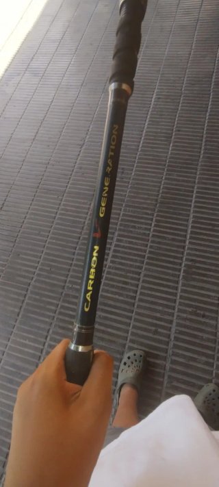 Caña de pesca para siluro