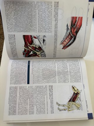 Libro Anatomía Veterinaria, 4 edición