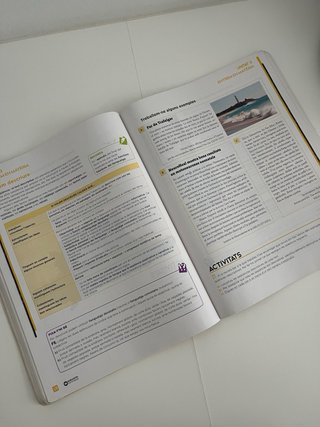Celestina Vigneaux. Batxillerat. Llengua catalana
