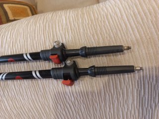 Bastones de trekking ajustables