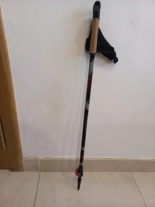 Bastones de trekking ajustables