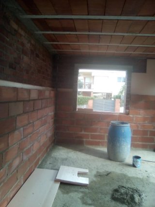Paleta de albañil profesional