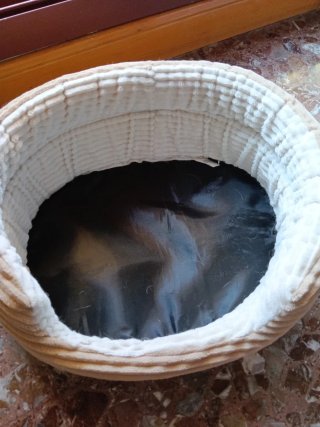 Cama para perro pequeño