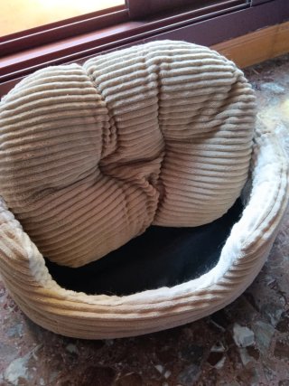 Cama para perro pequeño