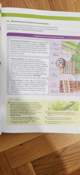 Biología, Geología y Ciencias Ambientales 1 Bac...