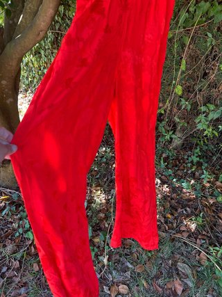 Mono rojo elegante