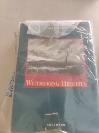 Lote 4 clásicos literatura en ingles