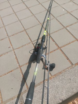 Caña de spinning Rapid