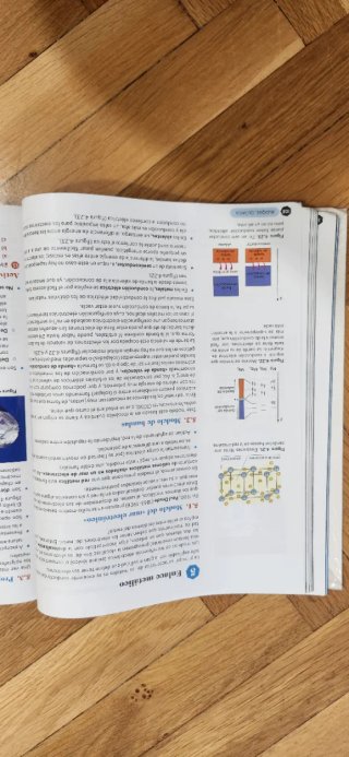 Física y Química 1 Bachillerato