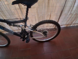 Bicicleta infantil Rueda 24