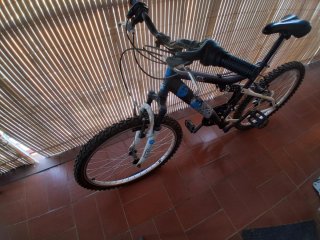 Bicicleta infantil Rueda 24
