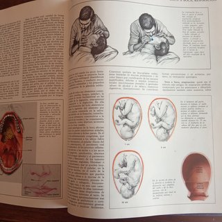 Gran Diccionario Médico