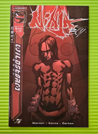 Ninja boy completa