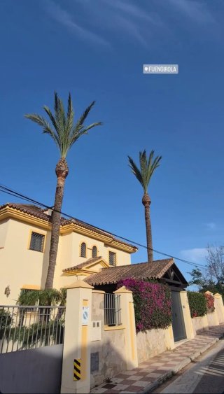 Jardinero en Málaga | Mantenimiento Jardines