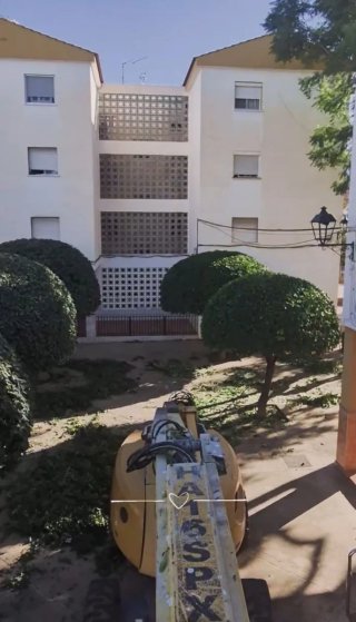 Jardinero en Málaga | Mantenimiento Jardines