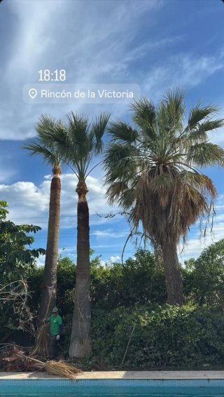 Jardinero en Málaga | Mantenimiento Jardines