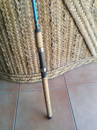 Caña de Pesca Shimano Alivio DX 240