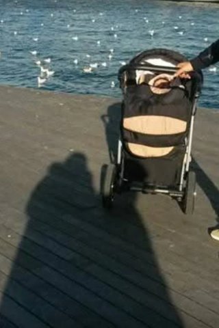 Carrito de bebé negro y beige