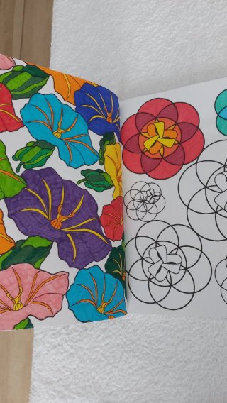 Libros mandalas y colores