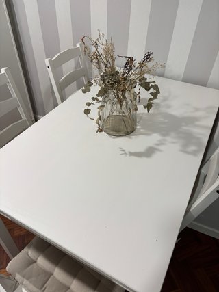 Mesa y 4 Sillas IKEA