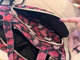 Bolso transportín perrito Touchdog