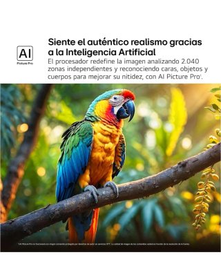 TV LG 55 4K QNED EVO AI MiniLED