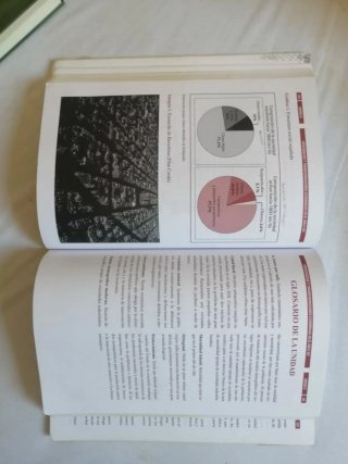 Historia de España Bachillerato y acceso a la U...