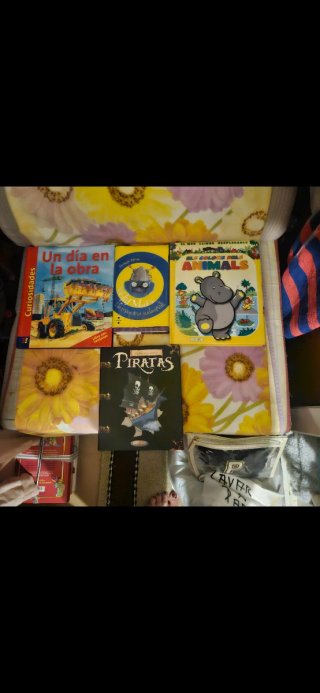 Lote Libros Infantiles: Piratas, Animales, Obra