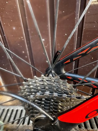 Orbea Ordu T. Talla XS Carbono