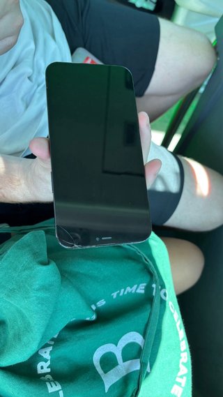 iPhone 12 Pro Max Blu