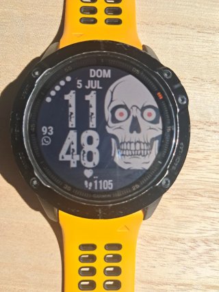 Reloj Garmin Fenix 6X Pro GPS Deportivo