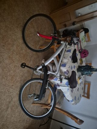 Bicicleta de Montaña