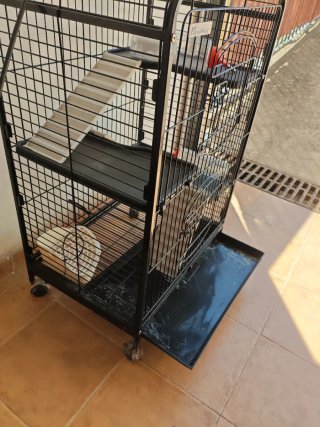 Jaula Pawhut 3 pisos con accesorios