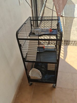 Jaula Pawhut 3 pisos con accesorios