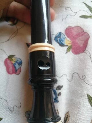 Flauta  Fuzou negra con funda.