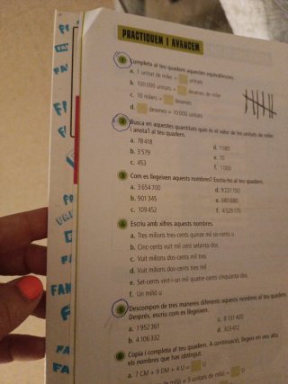 Matemàtiques 5, Tercer Cicle Primària, Fanfest