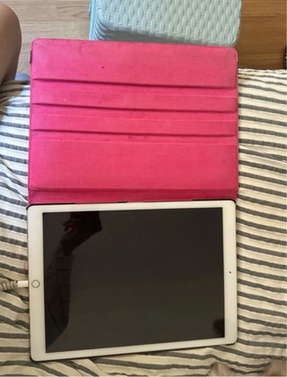 iPad Pro 12.9 256GB Oro + Custodia