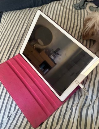 iPad Pro 12.9 256GB Oro + Custodia