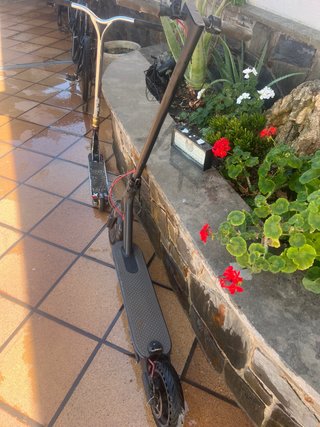 Patinete Eléctrico Xiaomi