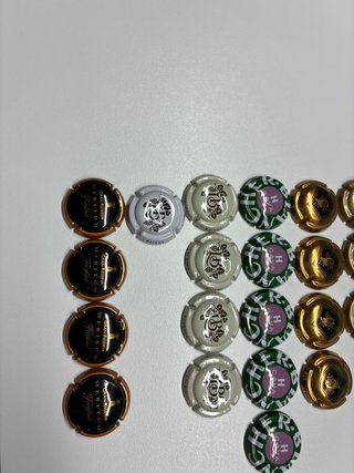 Colección 28 Chapas Cava