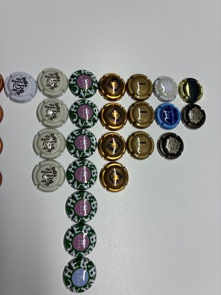 Colección 28 Chapas Cava