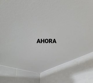 PINTOR PROFESIONAL