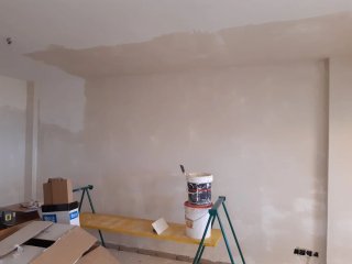 PINTOR PROFESIONAL