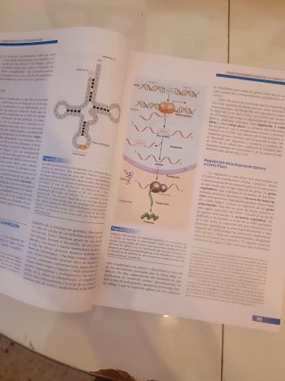 Libro de Fundamentos de psicobiología UNED
